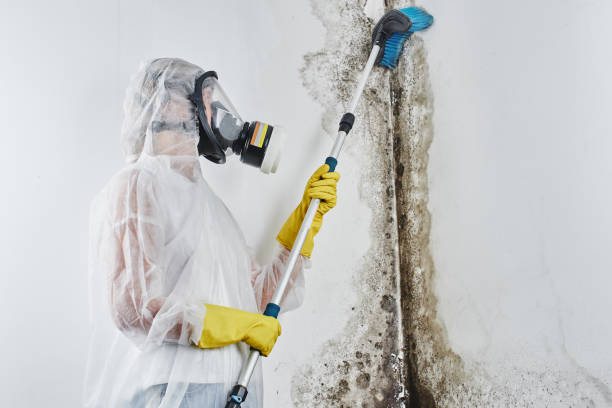 Best Residential Mold Inspection & Testing  in Ridgewood, NJ